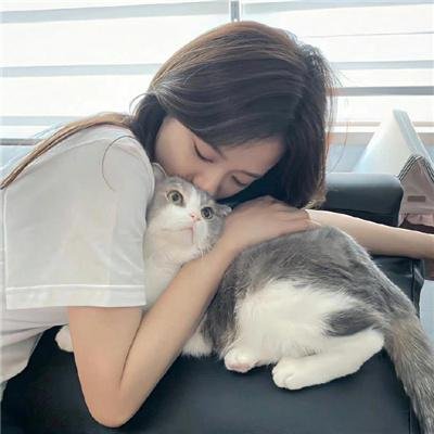 恋情告急